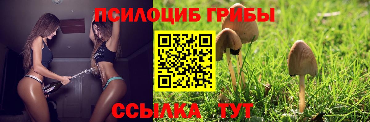 Псилоцибиновые грибы мицелий Мичуринск