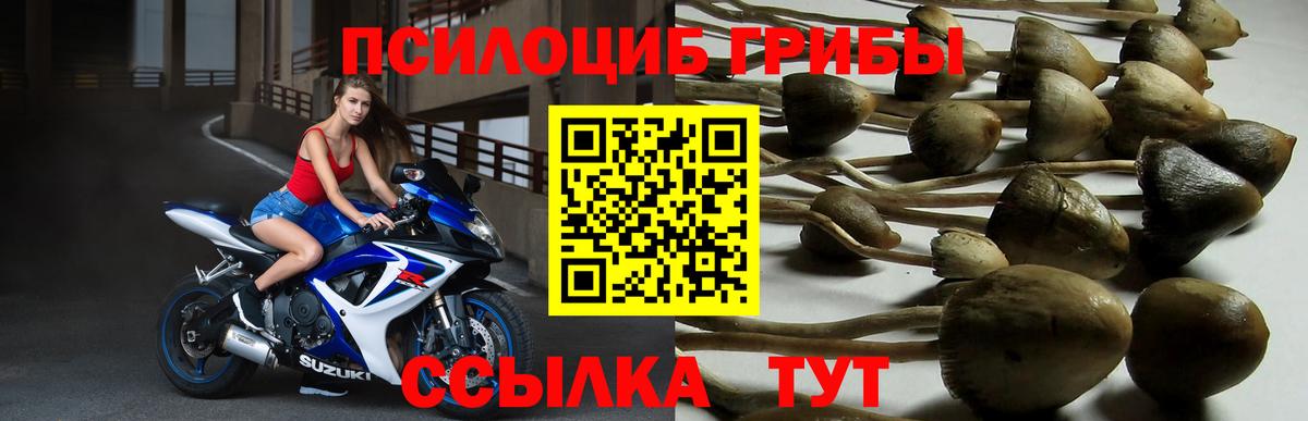Псилоцибиновые грибы мухоморы  Вход с VPN  Мичуринск 